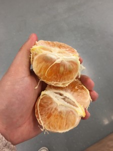 Feb 22_02   