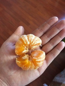 Feb 22_04   