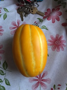 May 22 01 banana