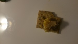 20160229_181310