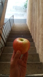 20160319_163904 