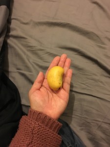Jun 12 03